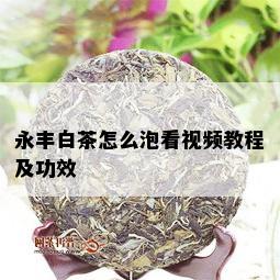 永丰白茶怎么泡看视频教程及功效