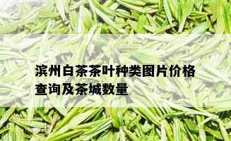 滨州白茶茶叶种类图片价格查询及茶城数量