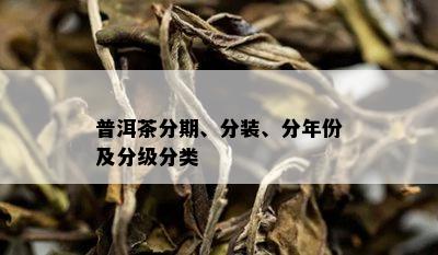 普洱茶分期、分装、分年份及分级分类