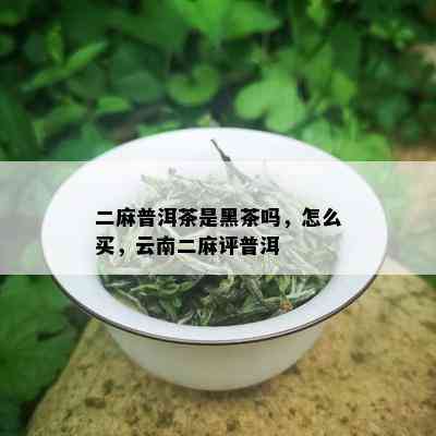 二麻普洱茶是黑茶吗，怎么买，云南二麻评普洱