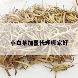 小白茶加盟代理哪家好