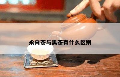 永白茶与黑茶有什么区别