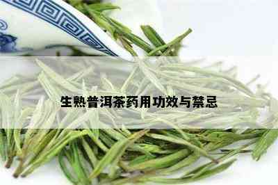 生熟普洱茶用功效与禁忌