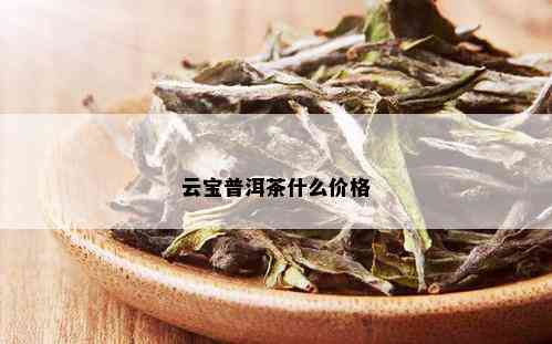 云宝普洱茶什么价格