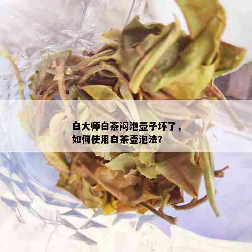 白大师白茶闷泡壶子坏了，如何使用白茶壶泡法？