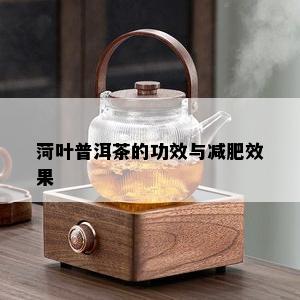 菏叶普洱茶的功效与减肥效果