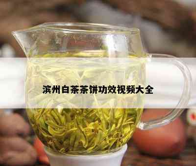 滨州白茶茶饼功效视频大全