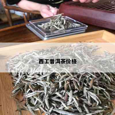 西工普洱茶价格