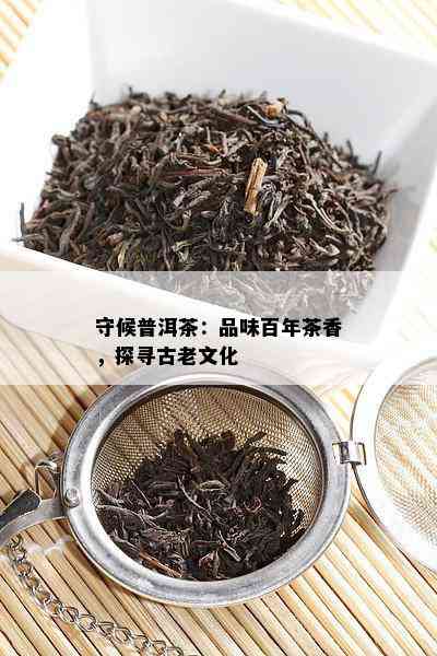 守候普洱茶：品味百年茶香，探寻古老文化