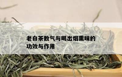 老白茶散气与喝出熏味的功效与作用