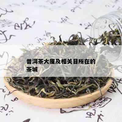 普洱茶大厦及相关目所在的茶城