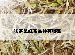 啥茶是红茶品种有哪些