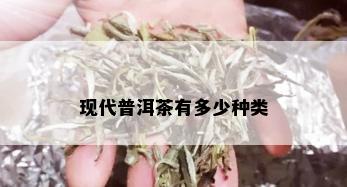 现代普洱茶有多少种类