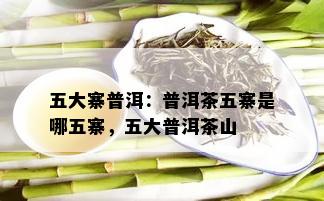 五大寨普洱：普洱茶五寨是哪五寨，五大普洱茶山