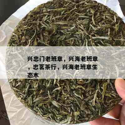 兴忠门老班章，兴海老班章，忠茗茶行，兴海老班章生态木