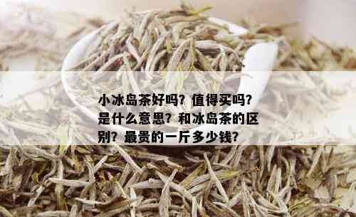 小冰岛茶好吗？值得买吗？是什么意思？和冰岛茶的区别？最贵的一斤多少钱？