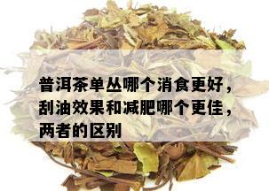 普洱茶单丛哪个消食更好，刮油效果和减肥哪个更佳，两者的区别