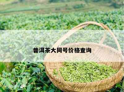 普洱茶大同号价格查询