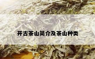 开古茶山简介及茶山种类