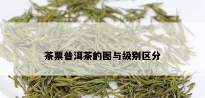 茶票普洱茶的图与级别区分