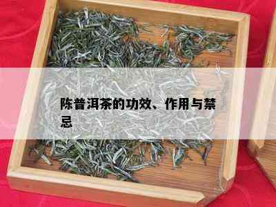 陈普洱茶的功效、作用与禁忌