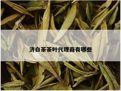 济白茶茶叶代理商有哪些