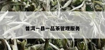 普洱一县一品茶管理服务