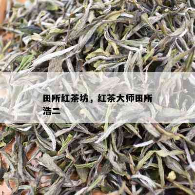 田所红茶坊，红茶大师田所浩二