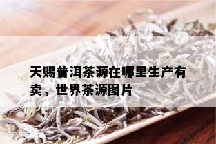 天赐普洱茶源在哪里生产有卖，世界茶源图片