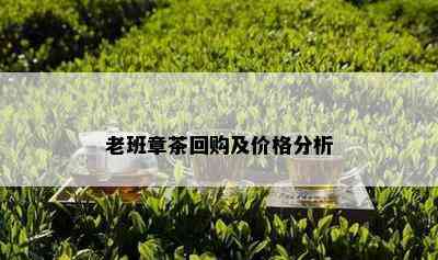 老班章茶回购及价格分析