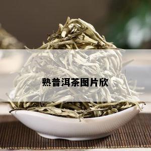 熟普洱茶图片欣