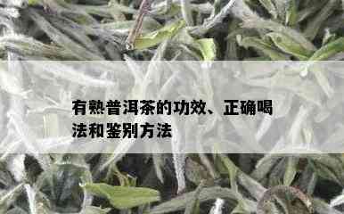 有熟普洱茶的功效、正确喝法和鉴别方法