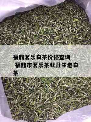 福鼎茗乐白茶价格查询 - 福鼎市茗乐茶业野生老白茶