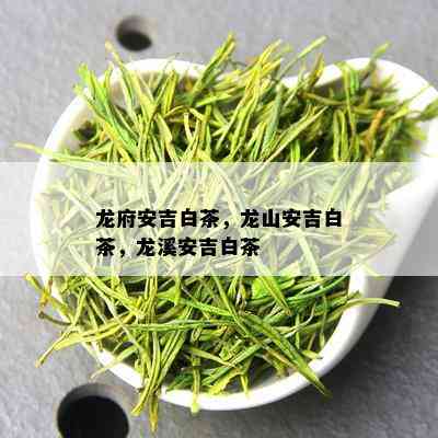 龙府安吉白茶，龙山安吉白茶，龙溪安吉白茶