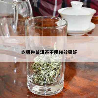 吃哪种普洱茶不便秘效果好