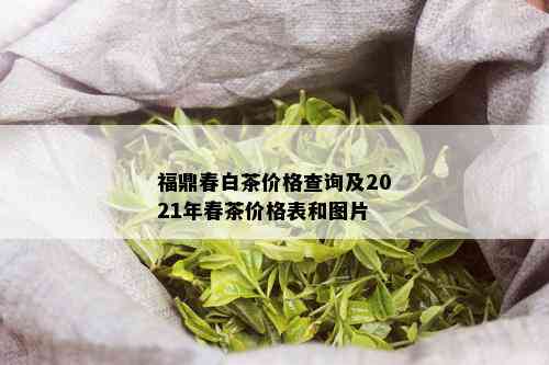 福鼎春白茶价格查询及2021年春茶价格表和图片