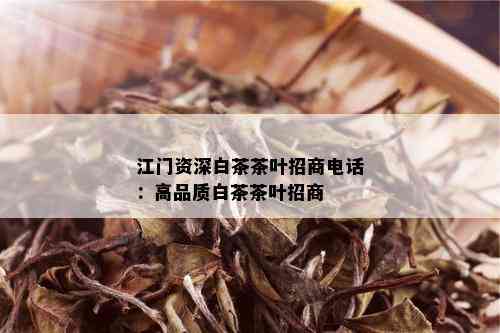 江门资深白茶茶叶招商电话：高品质白茶茶叶招商