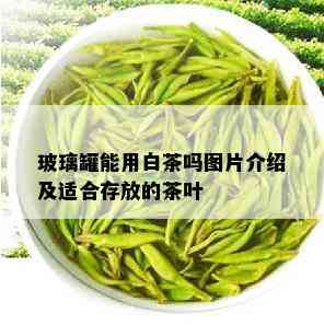 玻璃罐能用白茶吗图片介绍及适合存放的茶叶