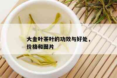 大金叶茶叶的功效与好处，价格和图片