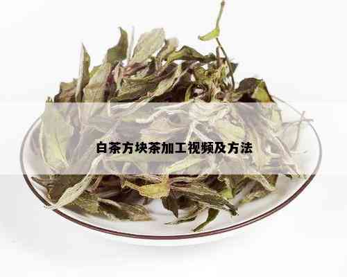 白茶方块茶加工视频及方法