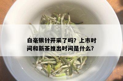 白毫银针开采了吗？上市时间和新茶推出时间是什么？