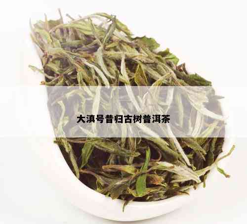 大滇号昔归古树普洱茶