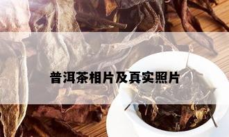 普洱茶相片及真实照片