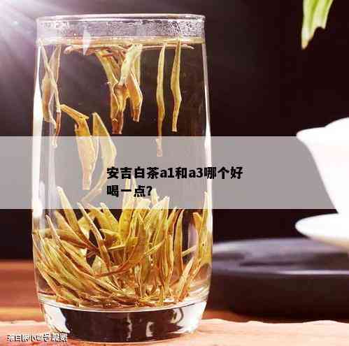 安吉白茶a1和a3哪个好喝一点？