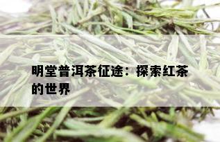 明堂普洱茶征途：探索红茶的世界