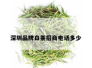 深圳品牌白茶招商电话多少