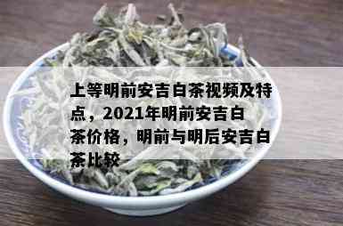 上等明前安吉白茶视频及特点，2021年明前安吉白茶价格，明前与明后安吉白茶比较