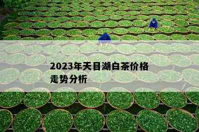 2023年天目湖白茶价格走势分析