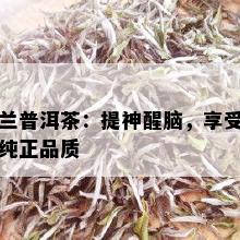 兰普洱茶：提神醒脑，享受纯正品质