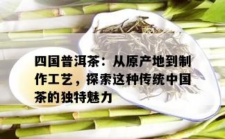 四国普洱茶：从原产地到制作工艺，探索这种传统中国茶的独特魅力